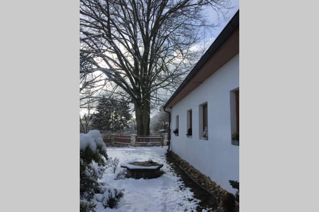 Appartement apartmán U památného stromu à Česká Lípa Extérieur photo
