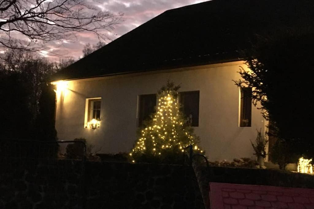 Appartement apartmán U památného stromu à Česká Lípa Extérieur photo
