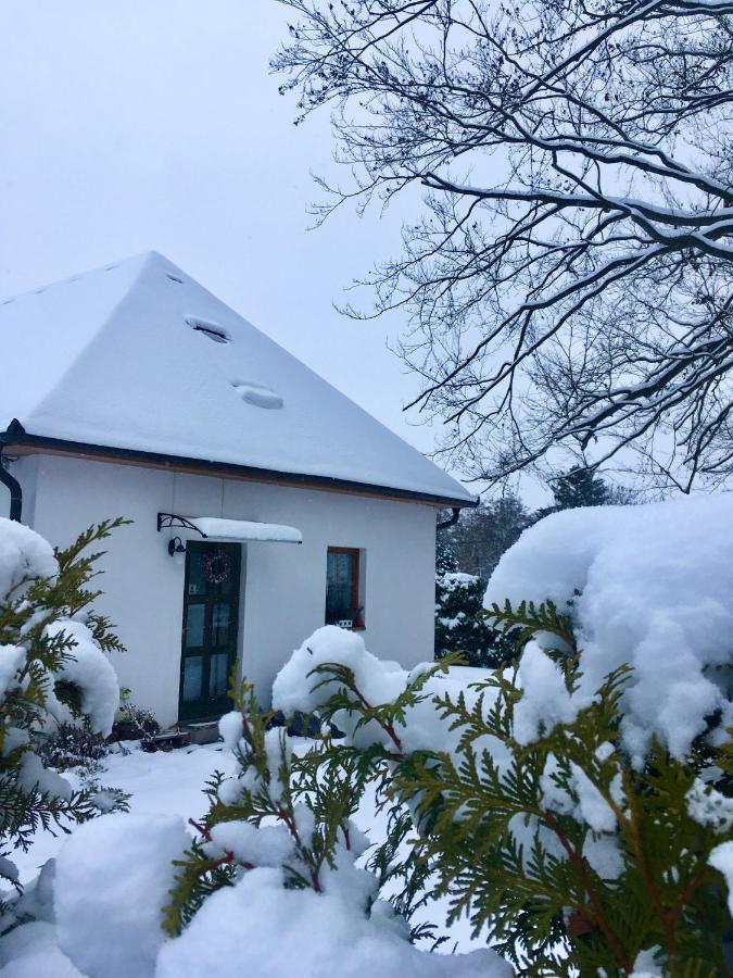 Appartement apartmán U památného stromu à Česká Lípa Extérieur photo