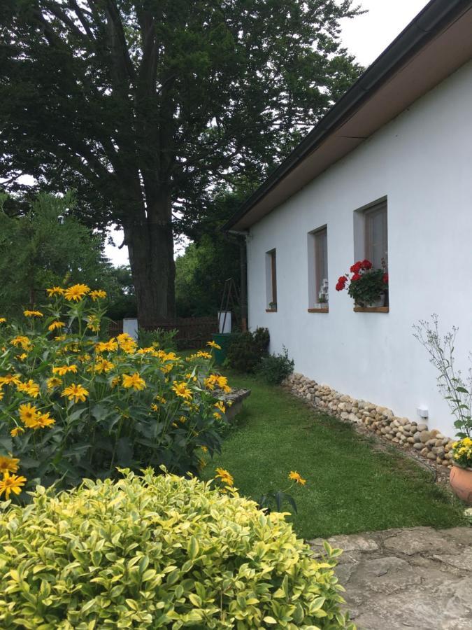 Appartement apartmán U památného stromu à Česká Lípa Extérieur photo